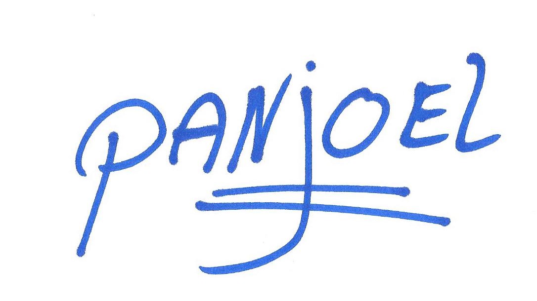 Panjoel en Co logo